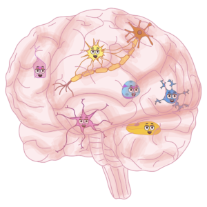 The Microglia