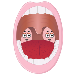 The Tonsils